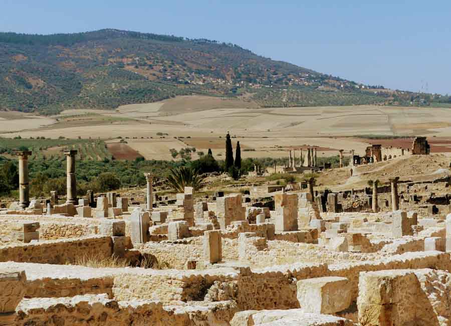Cómo visitar las ruinas romanas de Volubilis