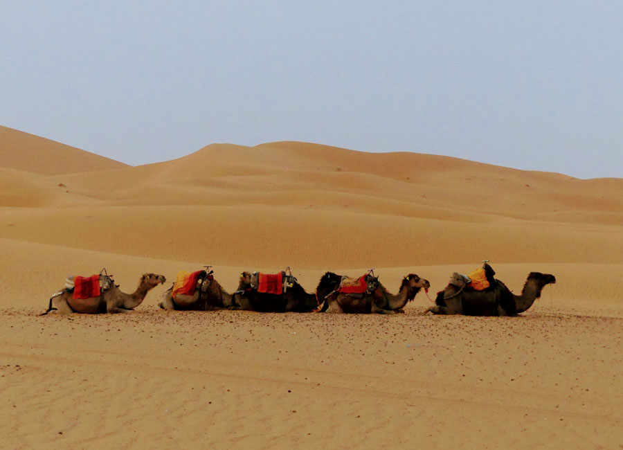 Qué ver y hacer en el desierto de Merzouga en 1 o 2 días